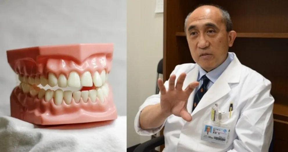 regenerar dientes