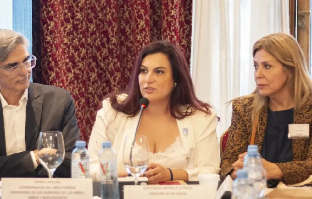 “Son tres idiotas”, así denominó Mónica Juárez a los diputados libertarios