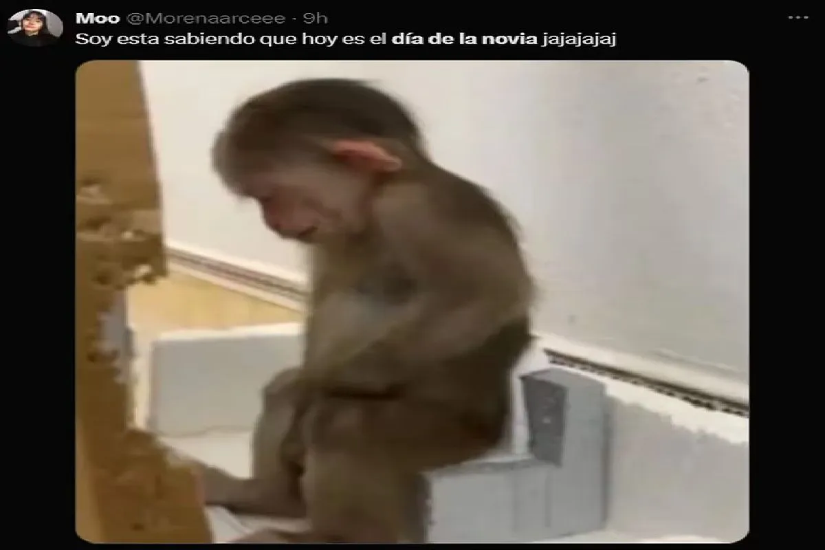 MEMES AGOSTO