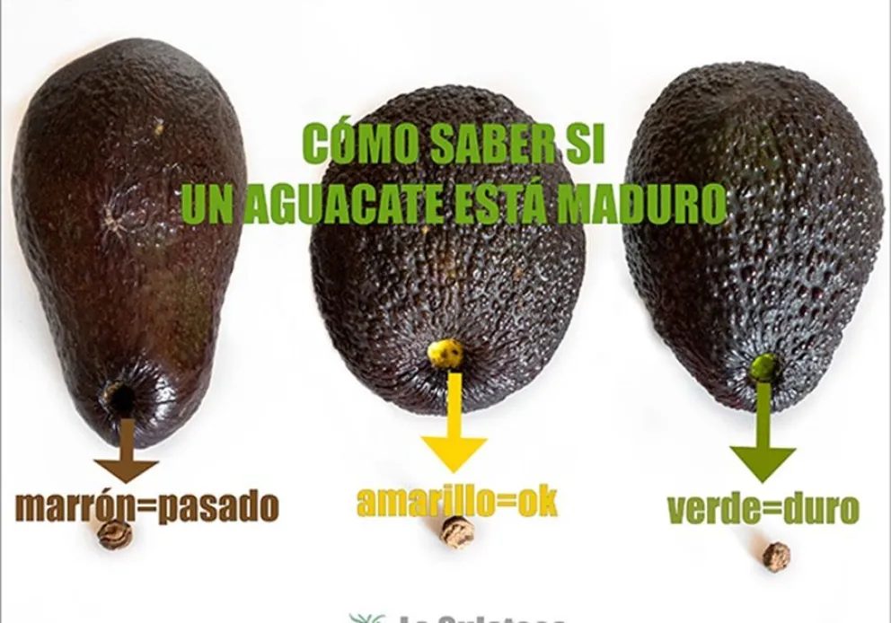 palta-truco