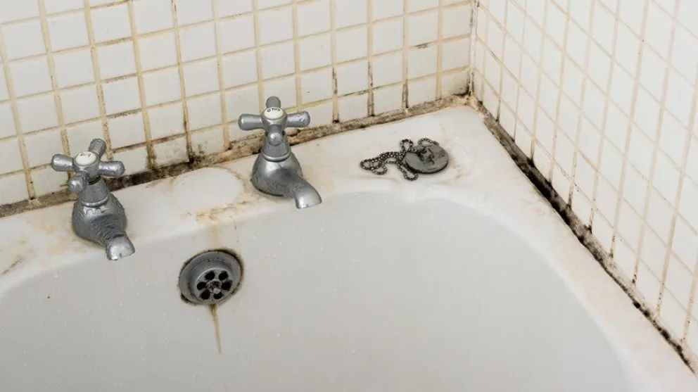 ba&ntilde;o-trucos-moho