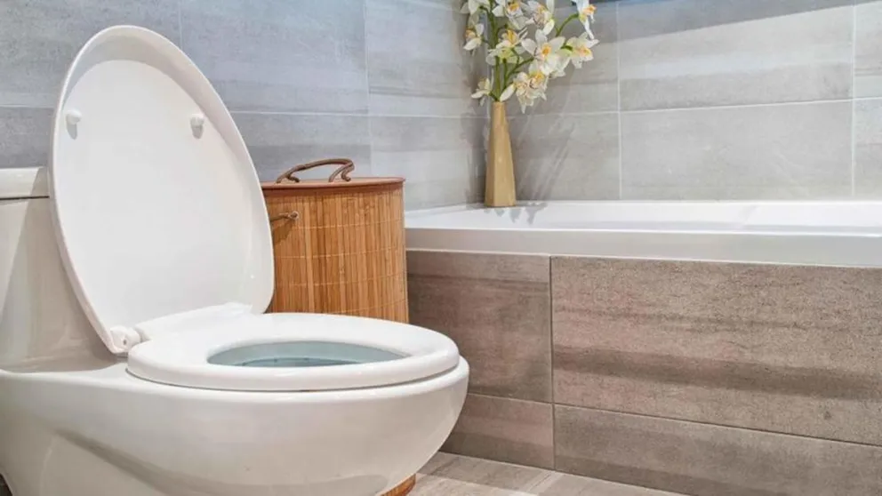 Conocé cómo hacer una limpieza profunda a tu baño en minutos: el truco definitivo para eliminar el moho