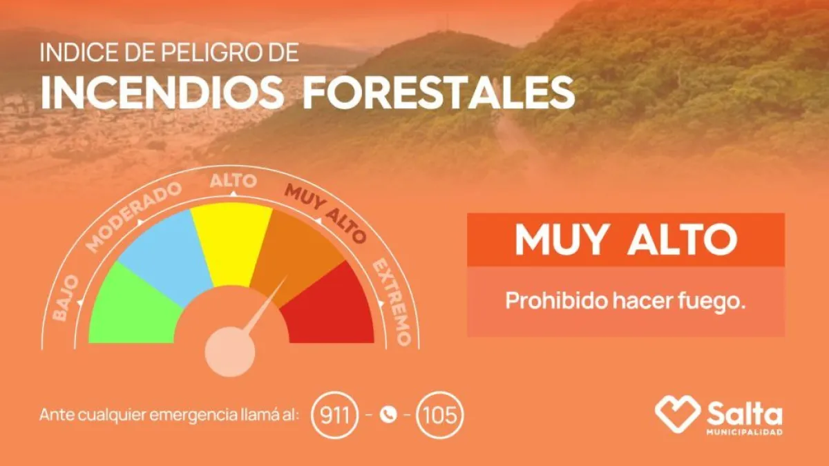 Incendios Forestales en Salta