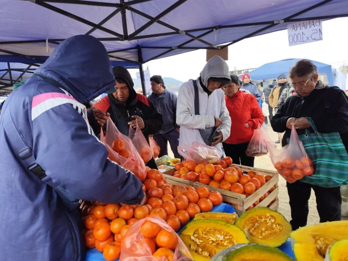 El mercado en tu barrio 