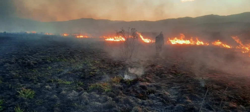 Incendios forestales en Salta: rige alerta extrema en los departamentos de Anta y Capital