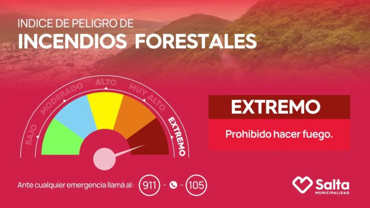 Incendios Forestales en Salta 