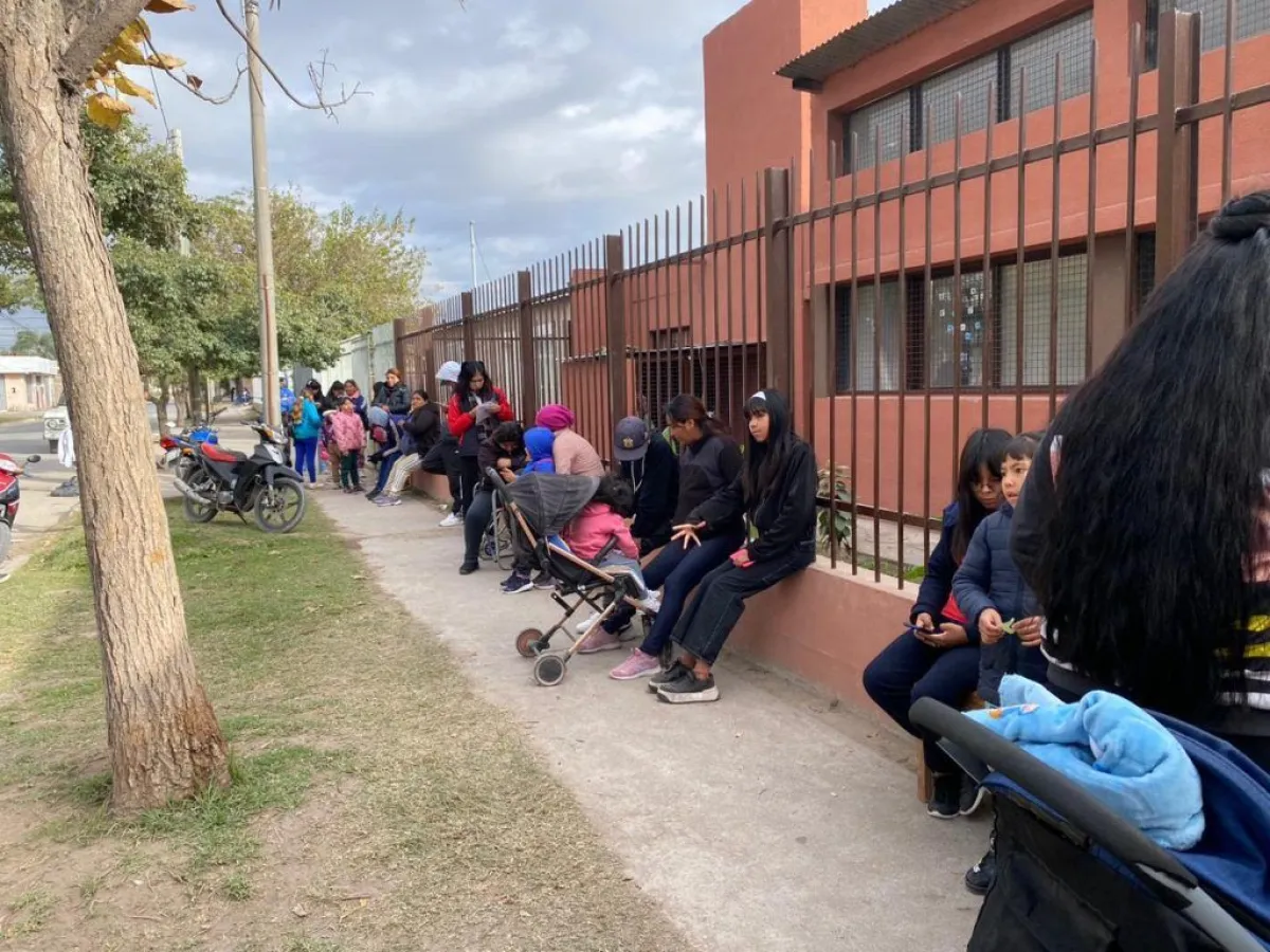 ANSES operativo 