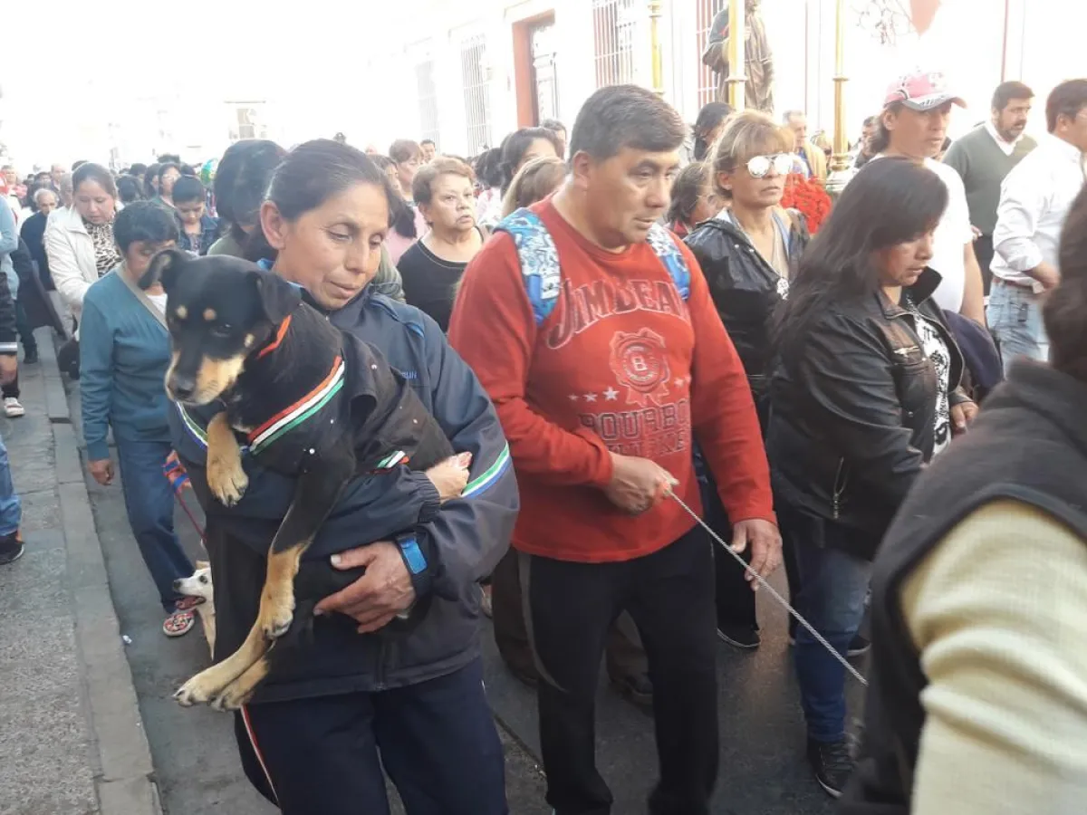 Procesi&oacute;n de San Roque cortes y desv&iacute;os