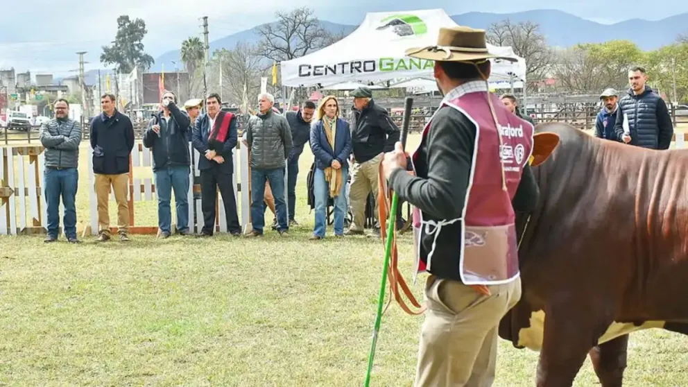 80° edición Expo Rural 2024: el campo argentino brilla en Salta y prepara un fin de semana a pura cultura