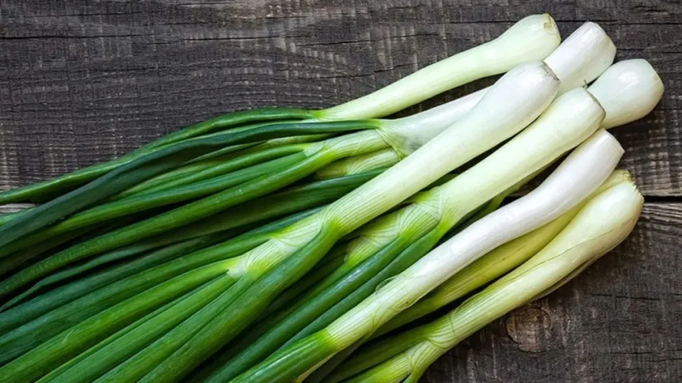 De esta manera tan fácil podés cultivar tus propias cebollas de verdeo en casa: al alcance de la mano