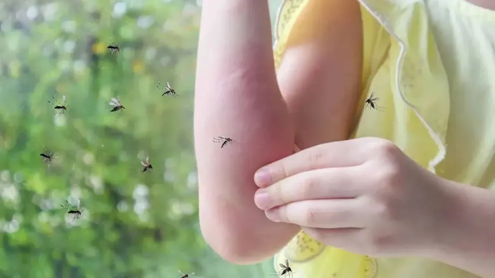 Conocé el poderoso repelente de mosquitos que debés tener en tu jardín: una solución natural 