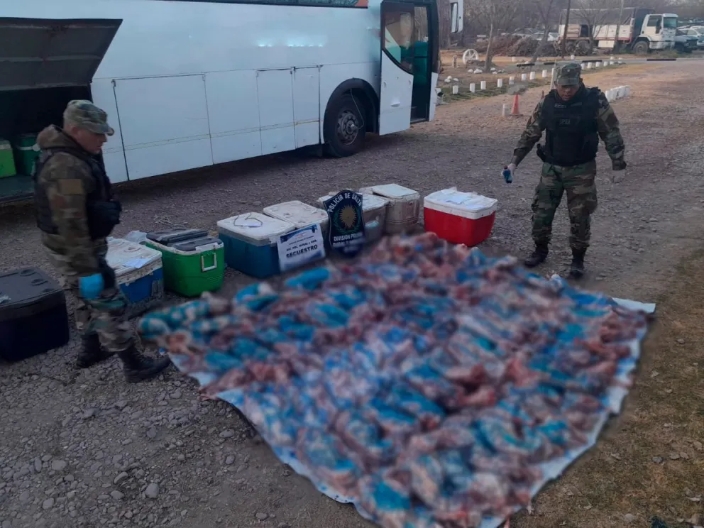 Alerta sanitaria: decomisaron 500 kilos de carne no apta para el consumo en la capital salteña