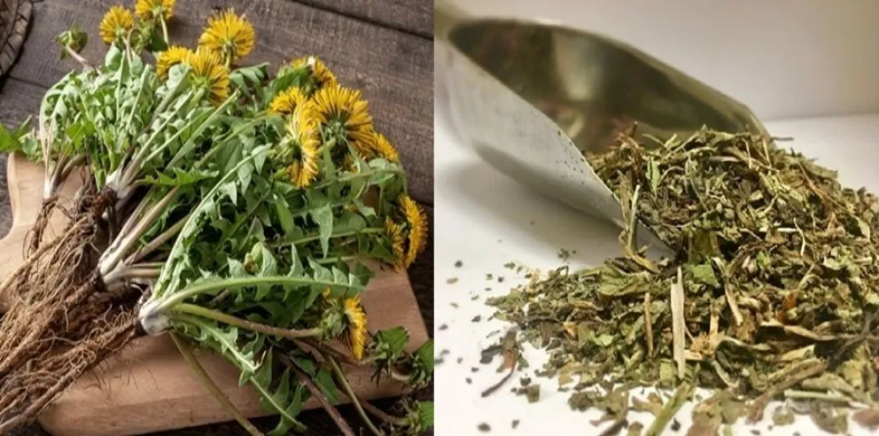 t&eacute; con col&aacute;geno