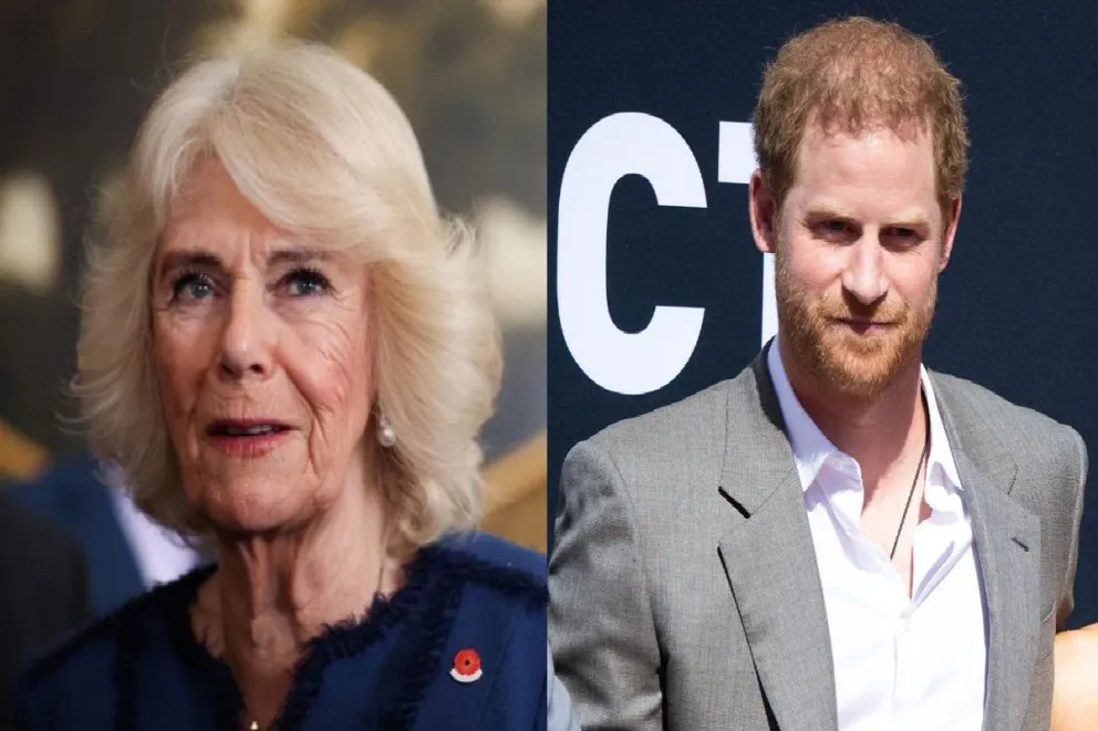 El príncipe Harry y el cruel gesto hacia Camila Parker: ¿un vínculo irremediable?