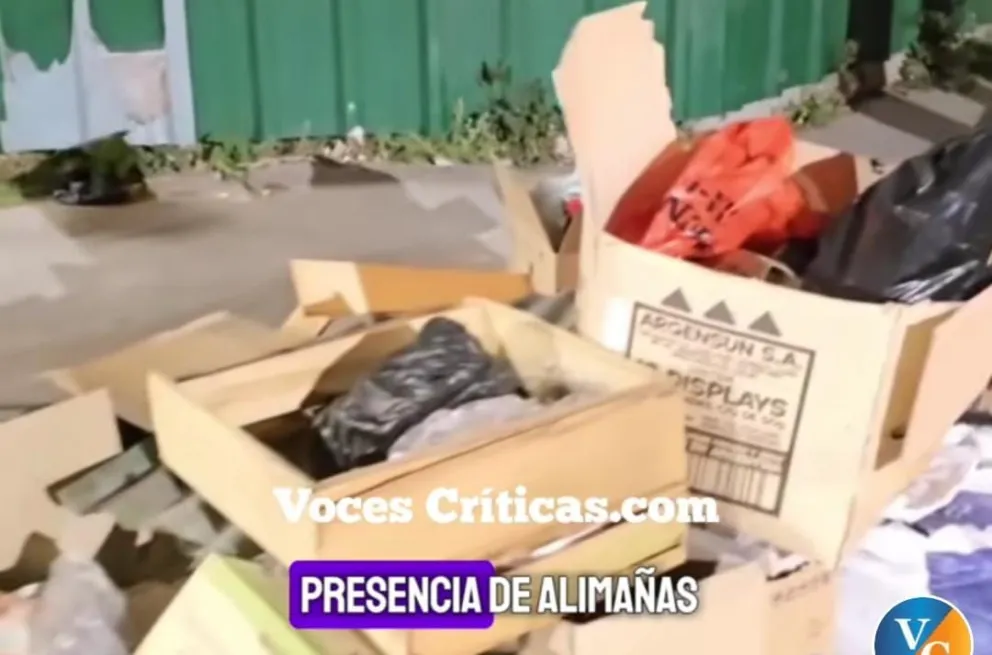 Reclamo vecinal: gran cantidad de basura y presencia de roedores en las calles del macrocentro salteño