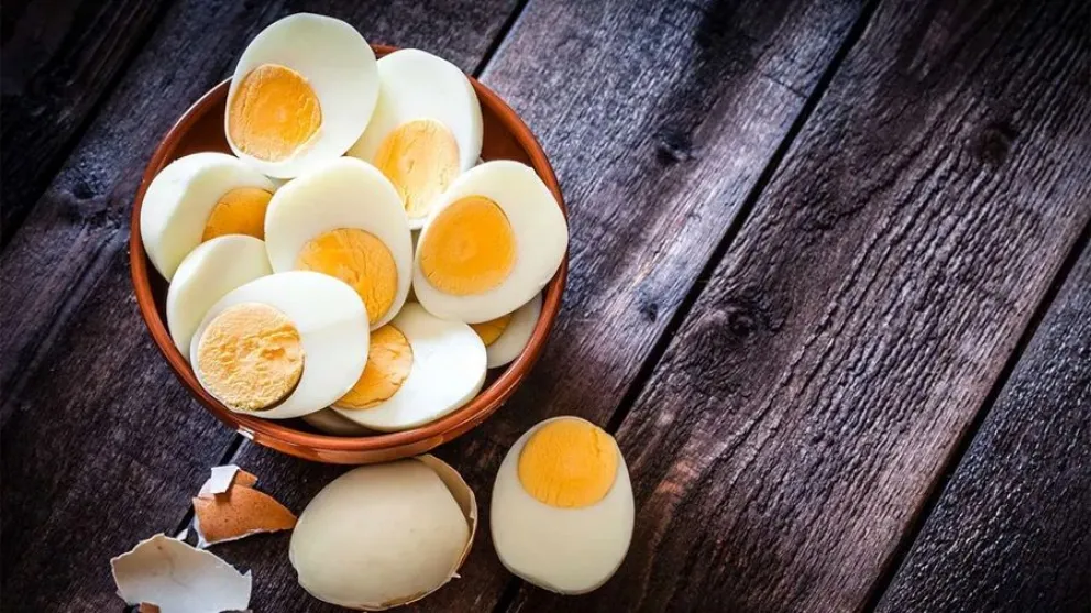 huevos - Salmonella