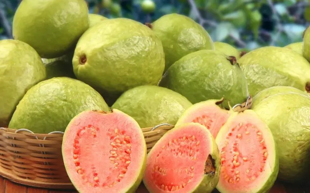 fruta - salud