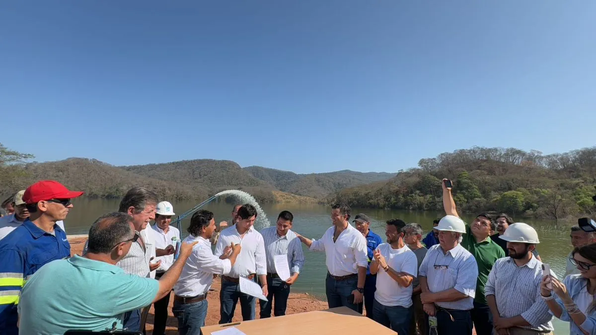 Dique el lim&oacute;n