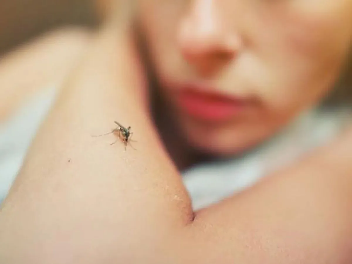 Leishmaniasis visceral