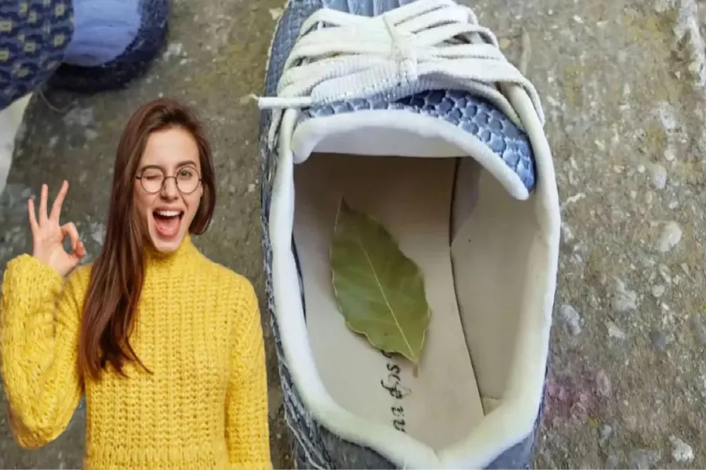 La hoja de Laurel en el zapato: un ritual de Feng Shui que transforma energías