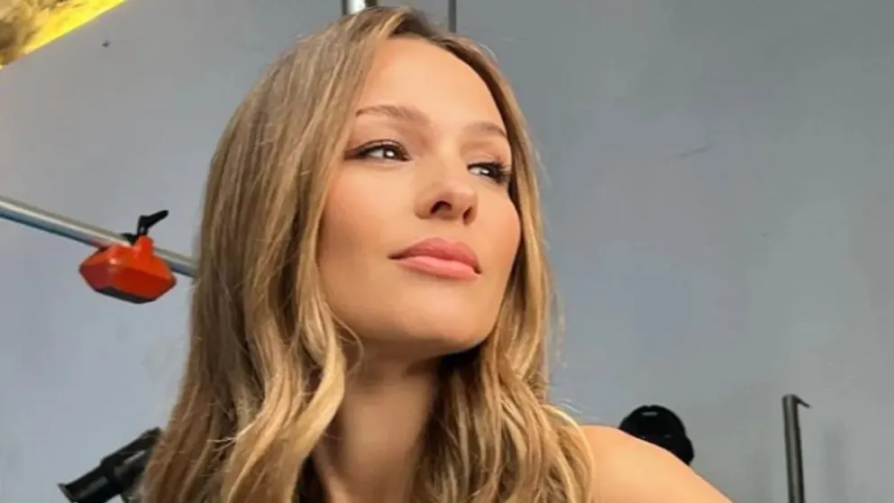 Pampita desmiente el "me gusta" a un posteo de una fan: ¿lo borró tras arrepentirse? 