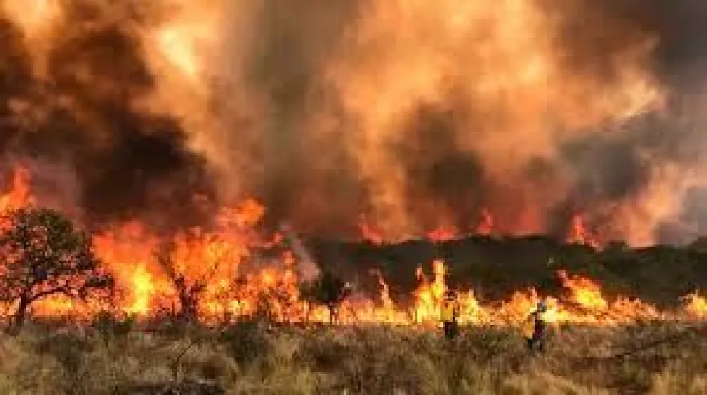 Incendio en Ruta 51