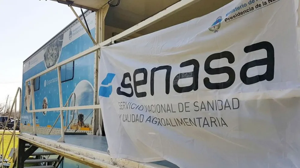 Escándalo de corrupción en SENASA Salta: tres funcionarios denunciados por falsificar documentos