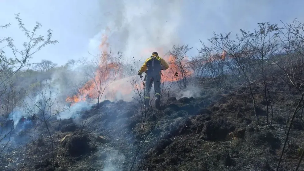 Feroz incendio en Vaqueros: varias dotaciones de Bomberos trabajan para sofocar las llamas