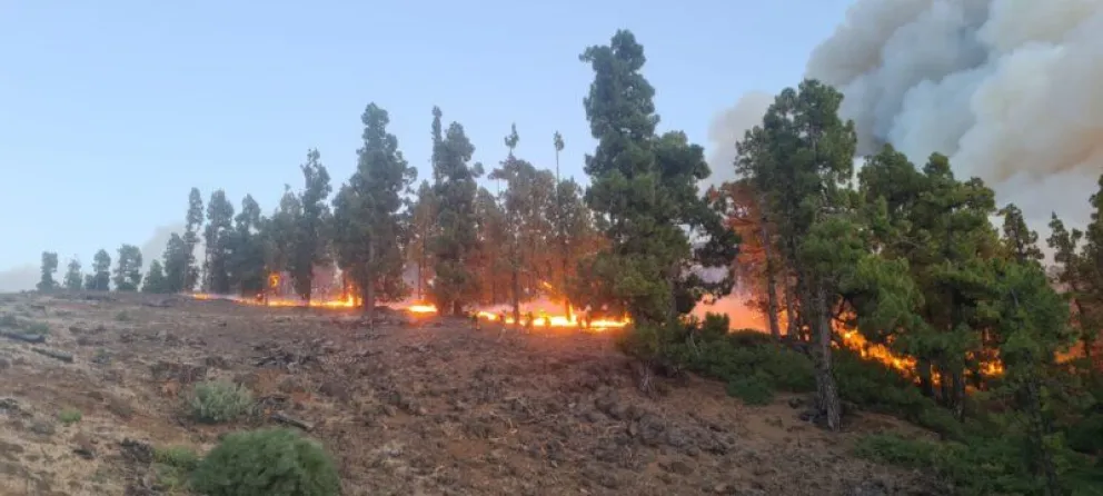 Incendios Forestales en Salta: se mantiene el alerta por riesgo extremo y solicitan seguir las indicaciones