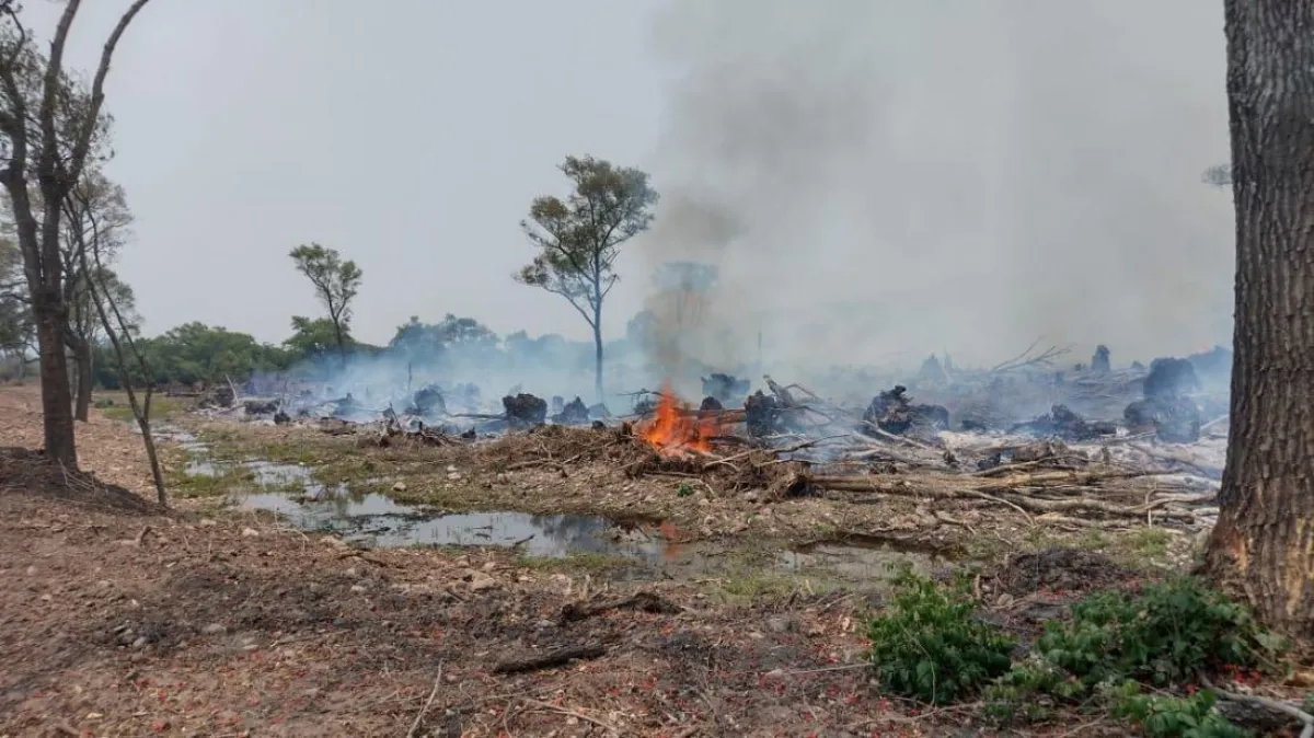 Incendios