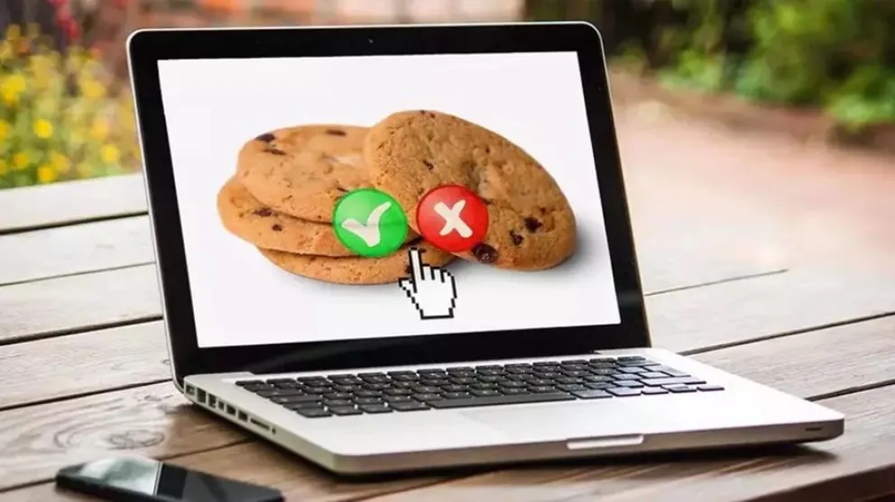 Google Chrome - cookies