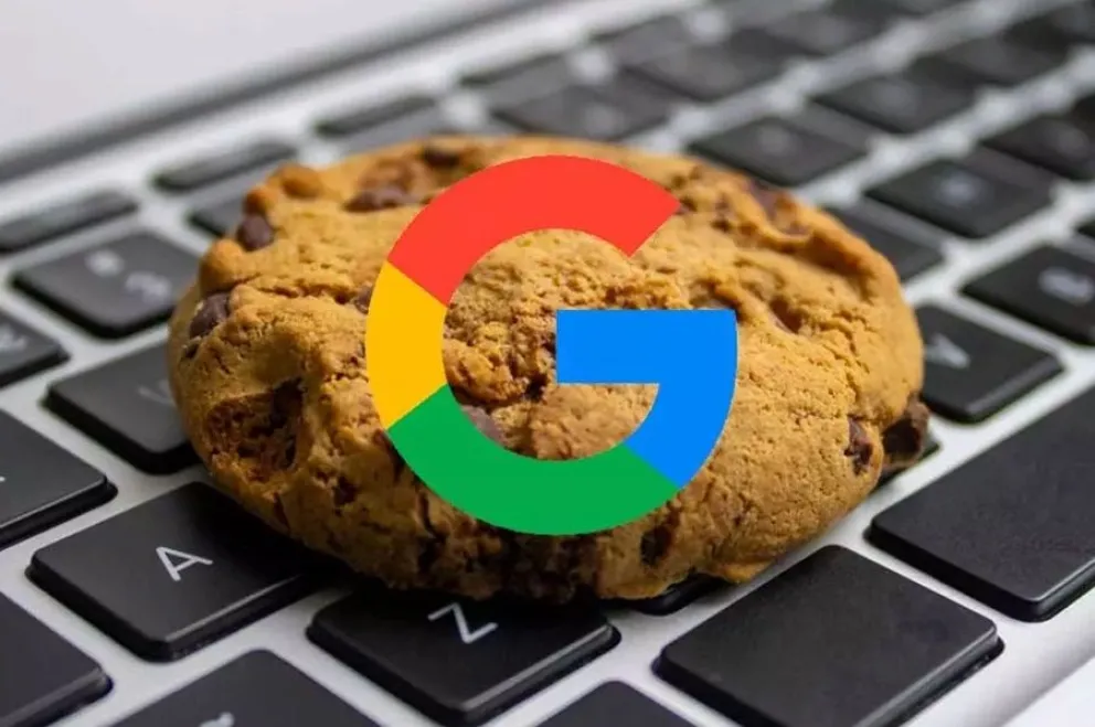 Google Chrome - cookies