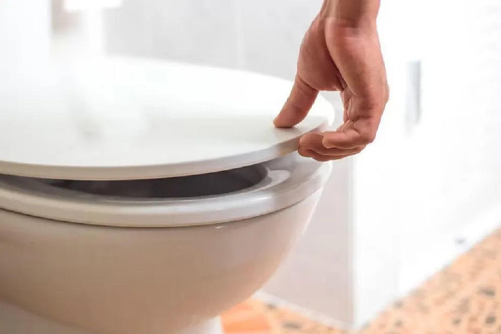 ¿Por qué deberías usar sal gruesa en el inodoro todas las noches? Un consejo de limpieza sorprendente