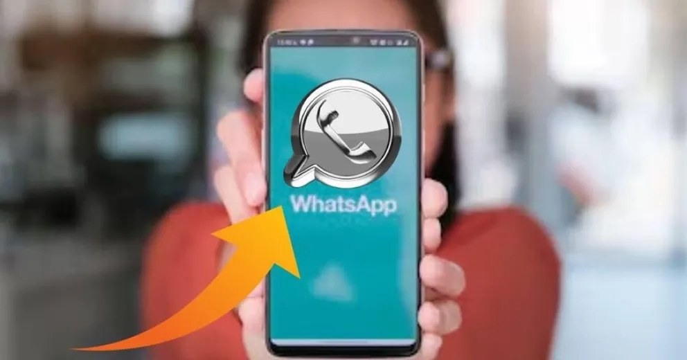 WhatsApp - Modo Plateado