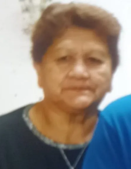 Salte&ntilde;a desaparecida