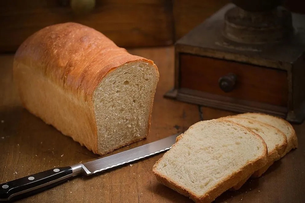 pan lactal casero - recetas