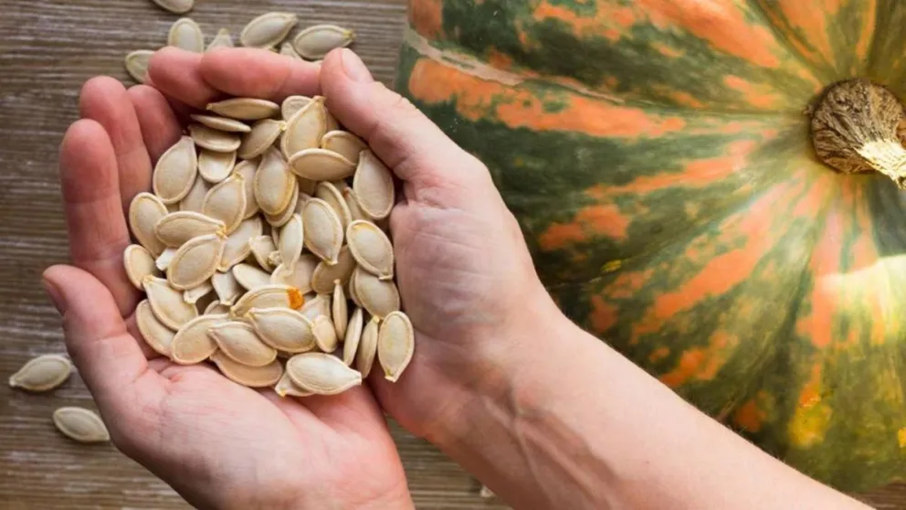 Convertí las semillas de zapallo en saludables y deliciosos snacks: una receta fácil y rápida de hacer