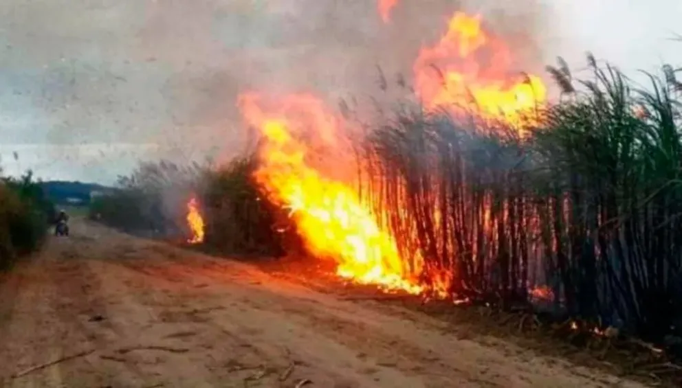 Detuvieron al culpable del incendio en el Parque Nacional Baritú