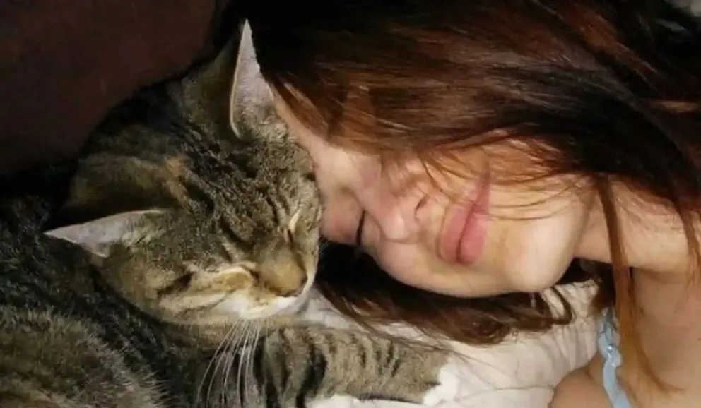 Descubrí por qué tu gato elige tu cabeza para dormir: el misterio fue revelado por expertos 