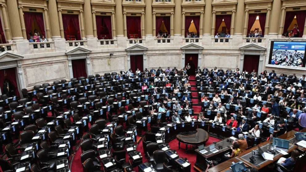 Cómo votaron los diputados salteños al veto al Financiamiento Universitario