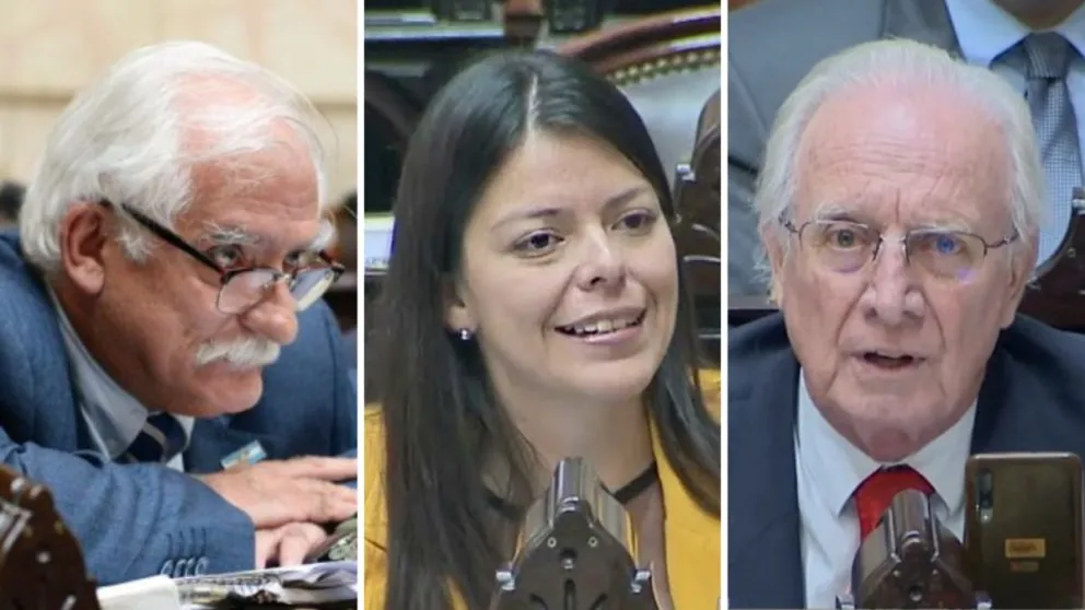 Emilia Orozco, Carlos Zapata y Julio Moreno: de estudiar en la UNSa a votar en contra del Financiamiento Universitario
