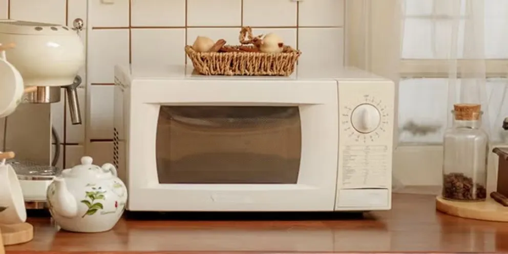 reducir el consumo de electricidad - microondas