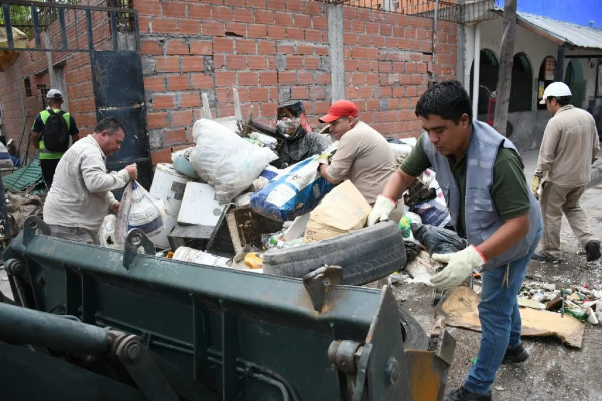 Dengue en Salta 