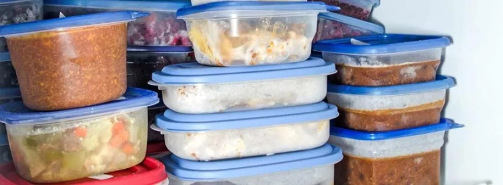 freezer - descongelar