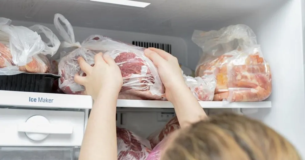 freezer - descongelar