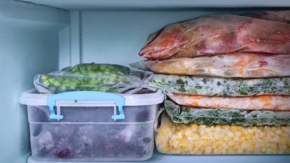 Descongelar sin peligro tus alimentos: conocé qué podés volver al freezer sin arriesgar tu salud