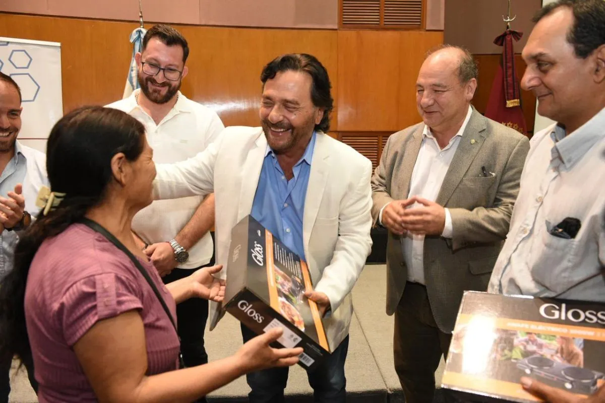 Gustavo S&aacute;enz anafes el&eacute;ctricos