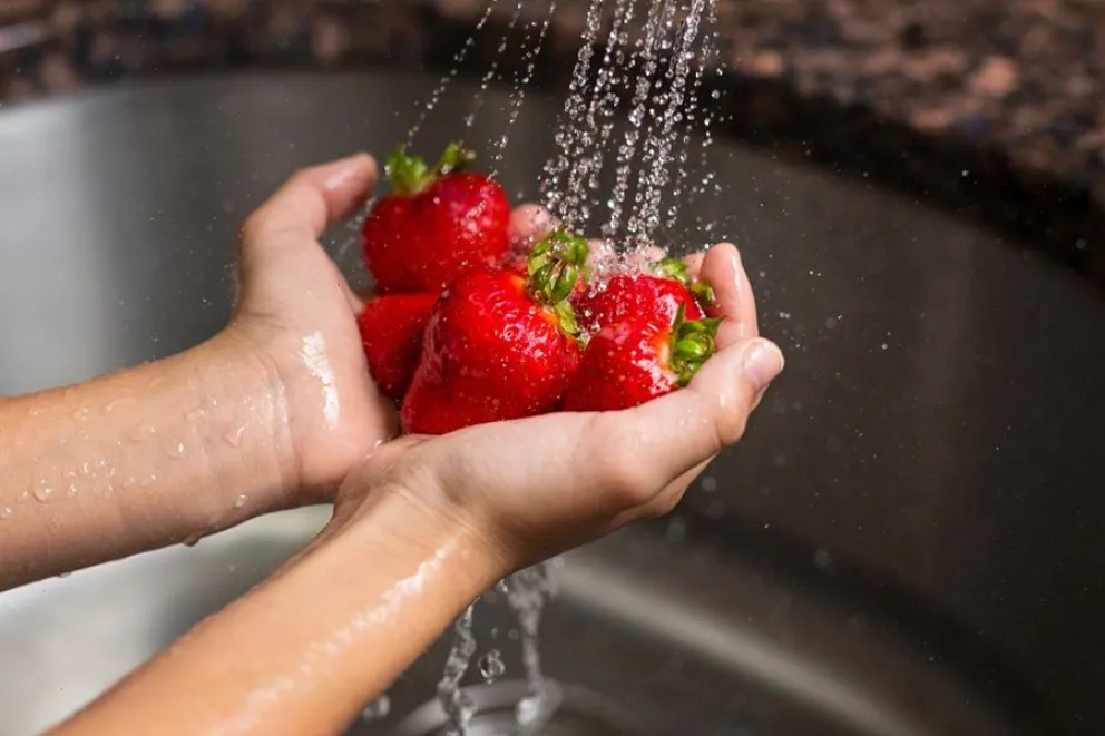 frutillas - conservarlas - truco