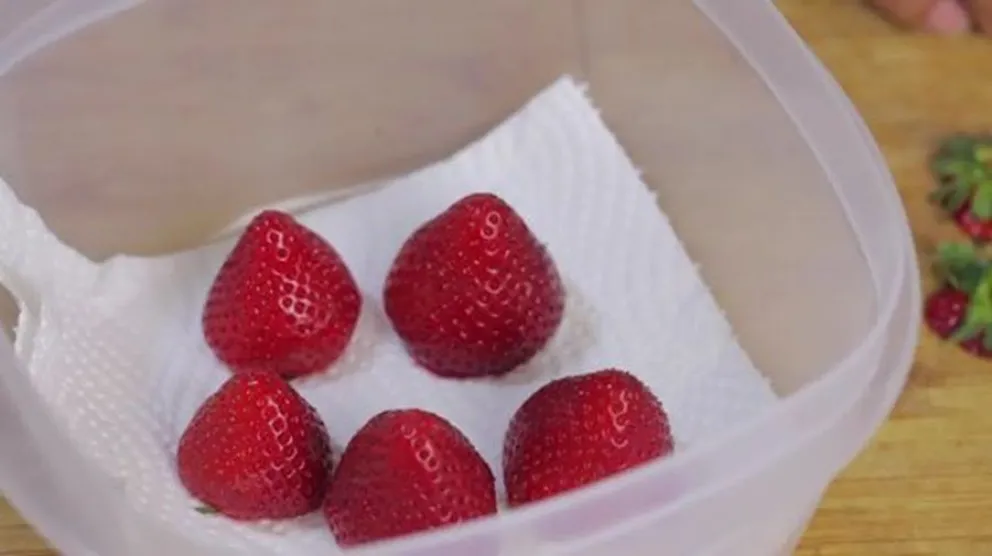 frutillas - conservarlas - truco