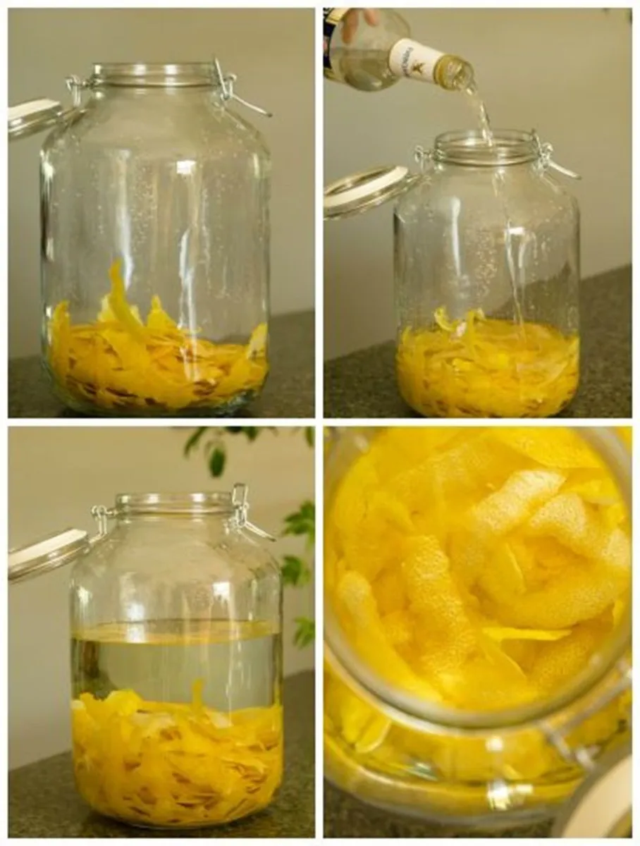 limoncello - receta